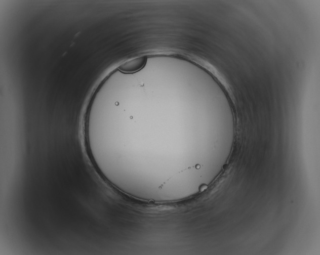 X0000101231187200806270939