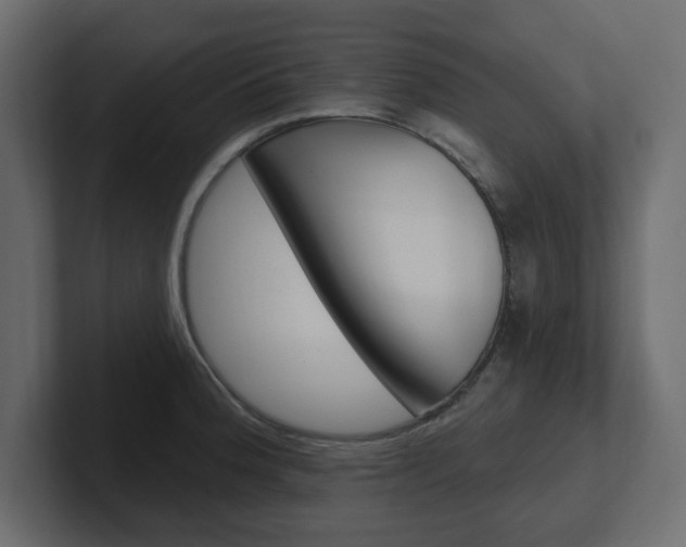 X0000101231188200806270939