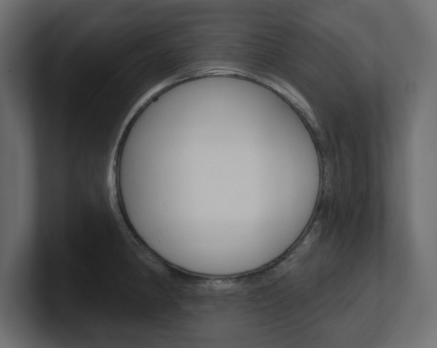X0000101231190200806270939