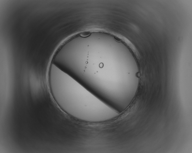 X0000101231191200806270939