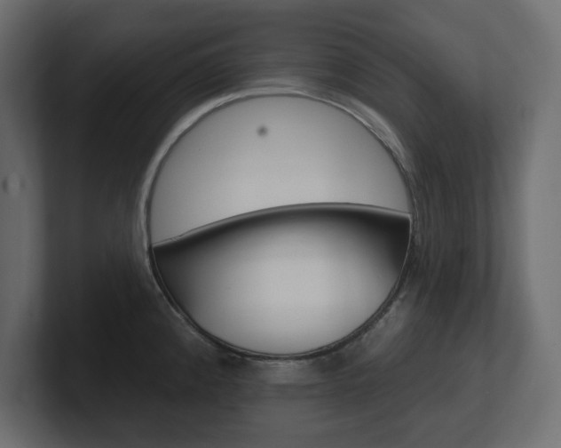 X0000101231192200806270939