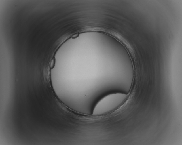 X0000101231193200806270939
