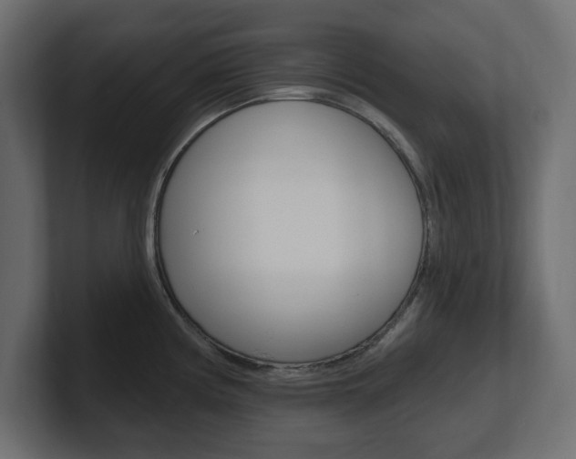 X0000101231194200806270939
