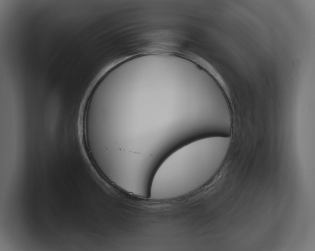X0000101231195200806270939