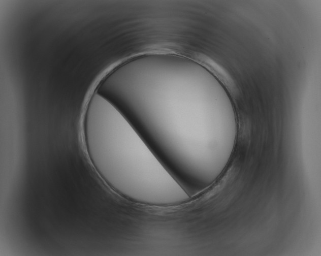 X0000101231196200806270939