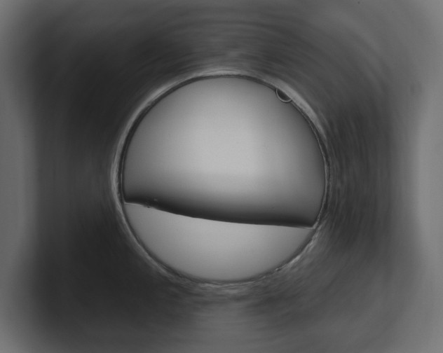 X0000101231197200806270939