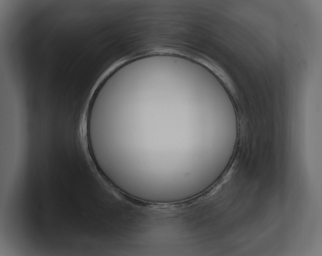 X0000101231198200806270939