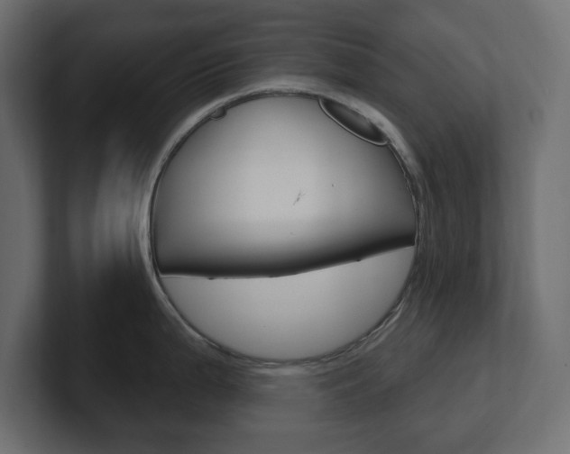 X0000101231199200806270939