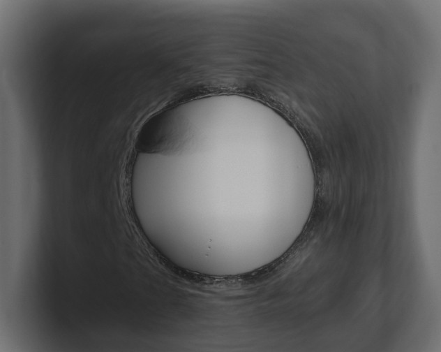 X0000101231201200806270938