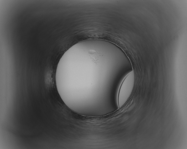 X0000101231202200806270938