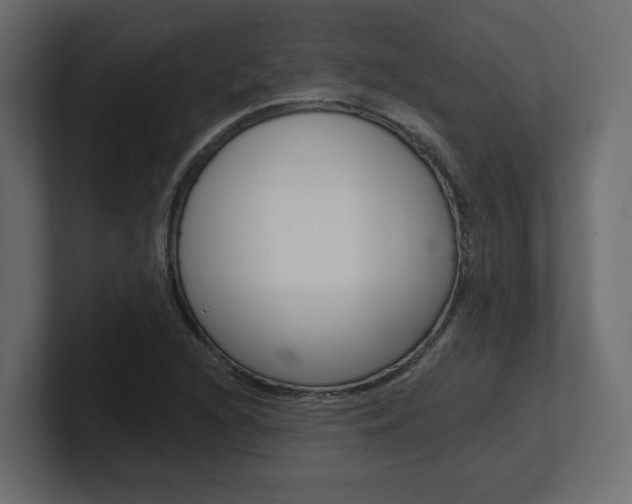 X0000101231216200806270938