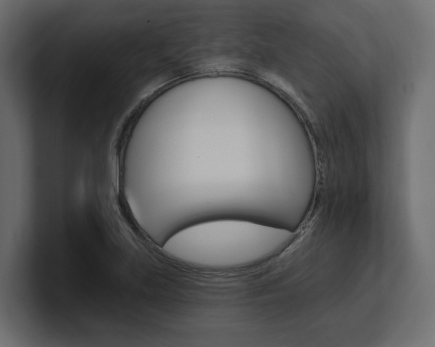 X0000101231219200806270938