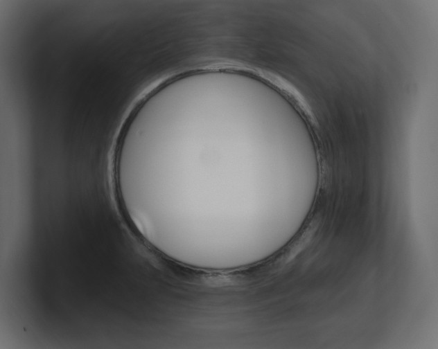 X0000101231231200806270938