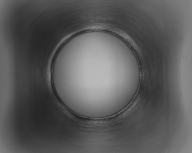 X0000101231232200806270938