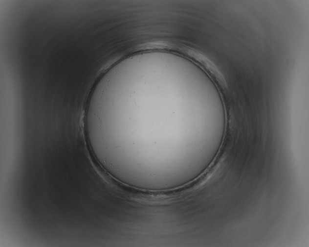 X0000101231233200806270938