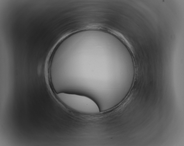 X0000101231235200806270938