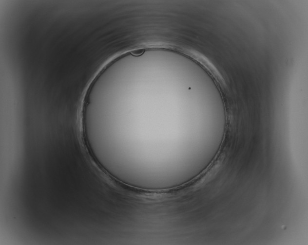 X0000101231236200806270939