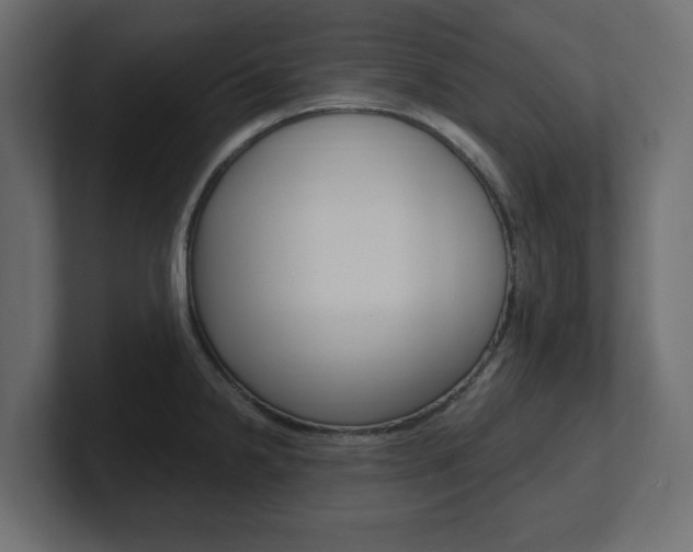 X0000101231238200806270939