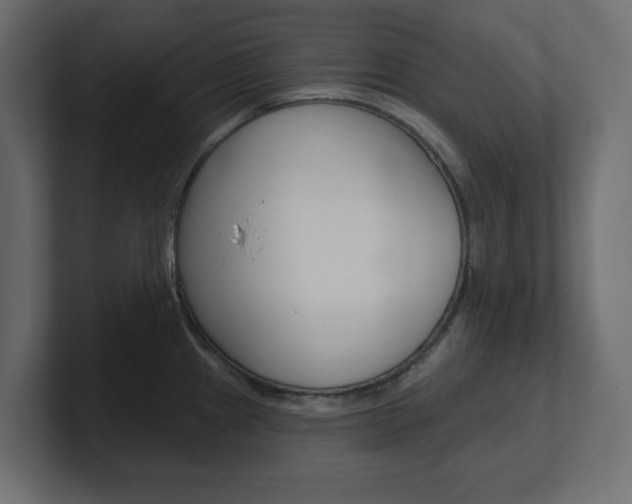 X0000101231241200806270939