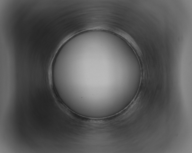 X0000101231242200806270939
