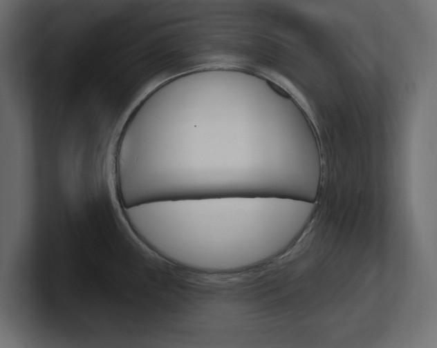 X0000101231243200806270939