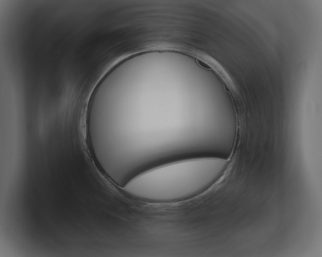 X0000101231244200806270939