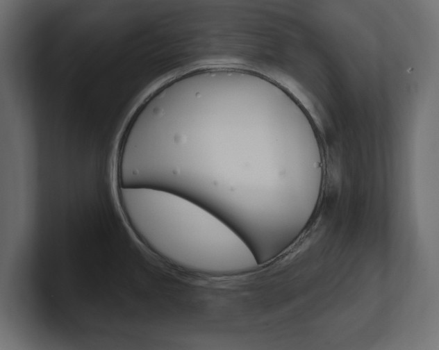 X0000101231245200806270939