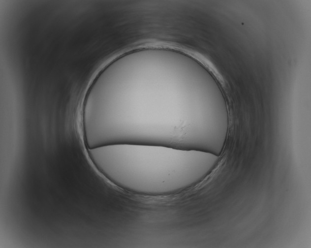 X0000101231247200806270939