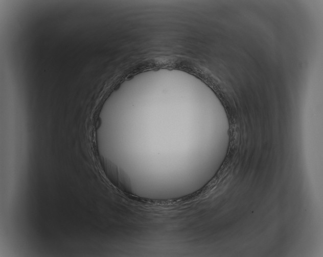 X0000101231249200806270938