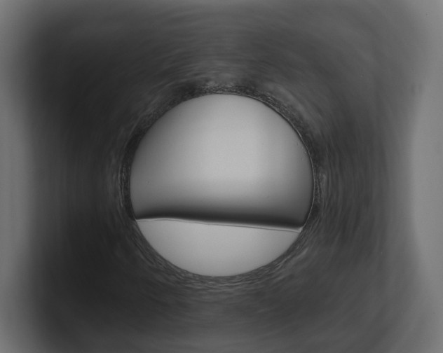 X0000101231250200806270938