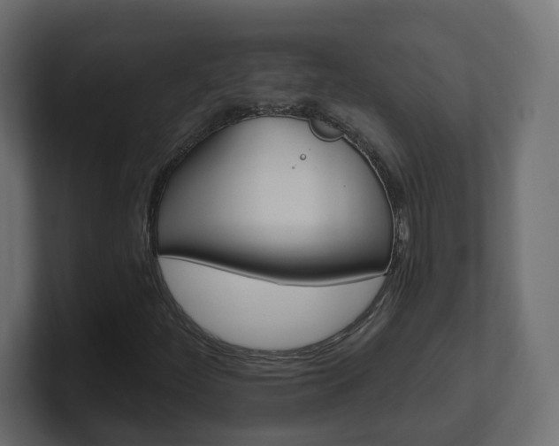 X0000101231252200806270938