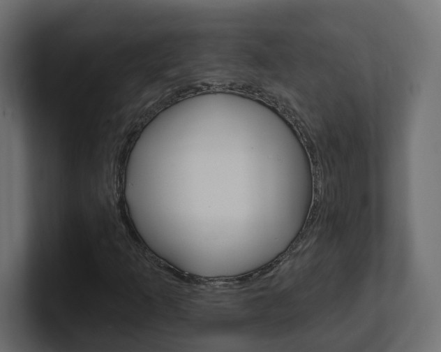 X0000101231253200806270938