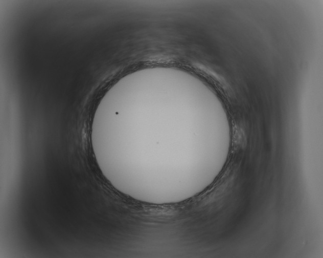 X0000101231254200806270938