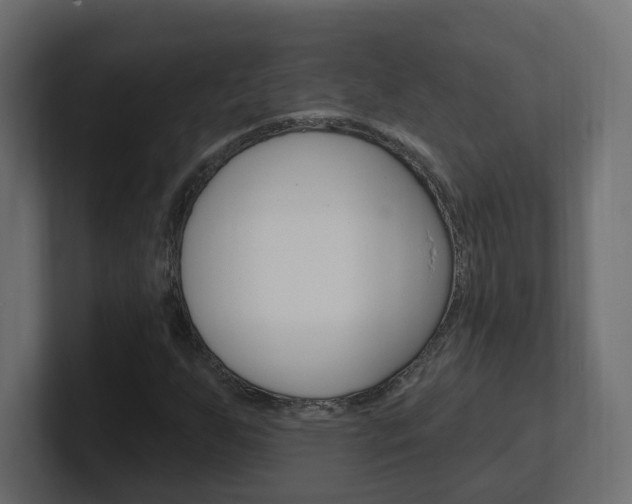 X0000101231255200806270938