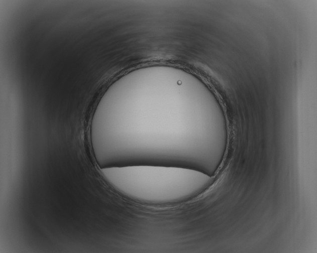 X0000101231257200806270938