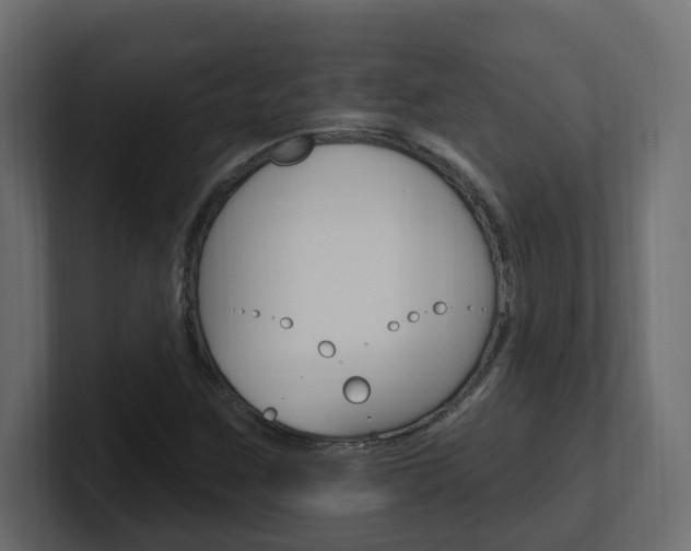 X0000101231259200806270938