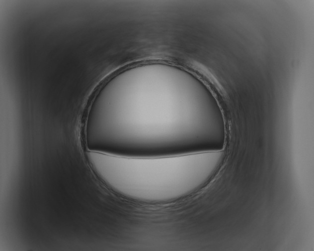 X0000101231260200806270938