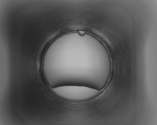 X0000101231261200806270938