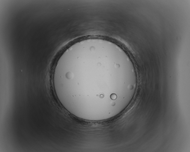 X0000101231263200806270938