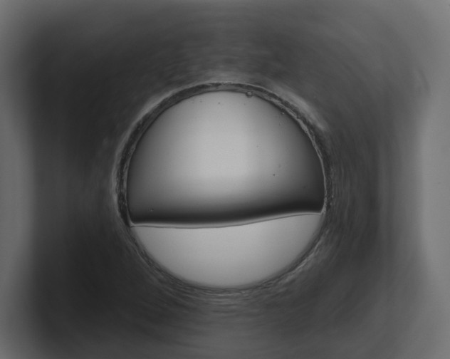 X0000101231264200806270938