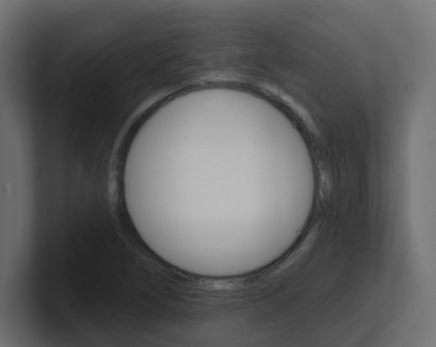 X0000101231266200806270938