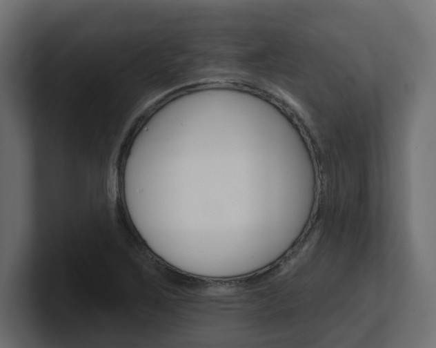 X0000101231267200806270938