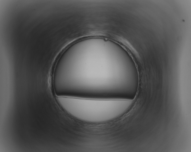 X0000101231268200806270938