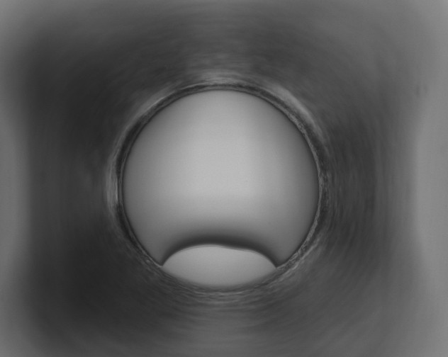 X0000101231269200806270938