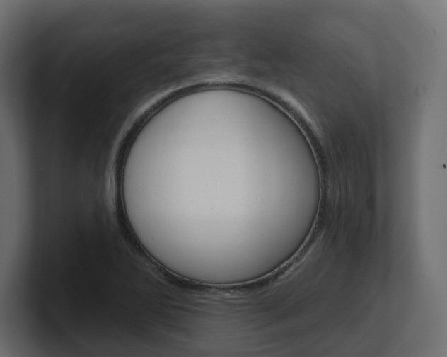X0000101231270200806270938