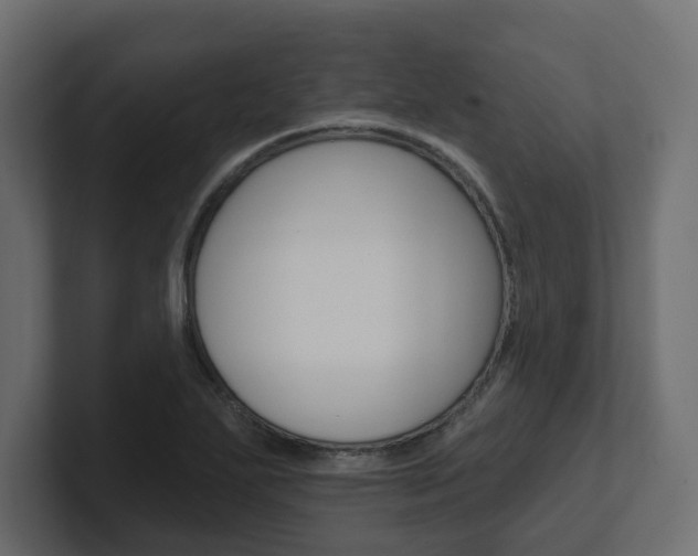 X0000101231271200806270938