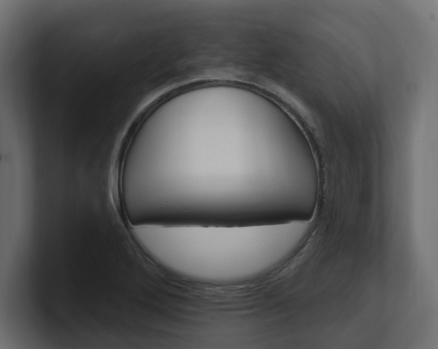 X0000101231272200806270938