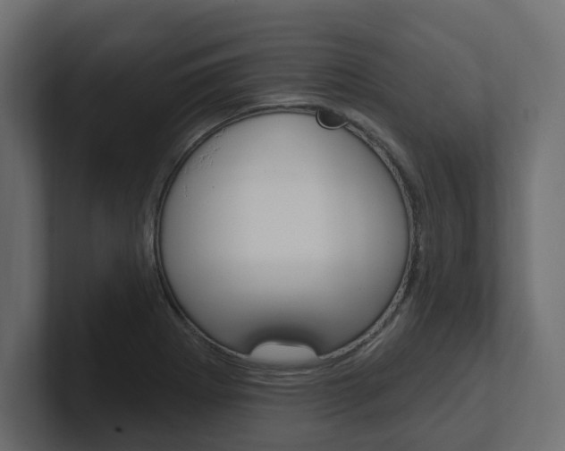 X0000101231273200806270938