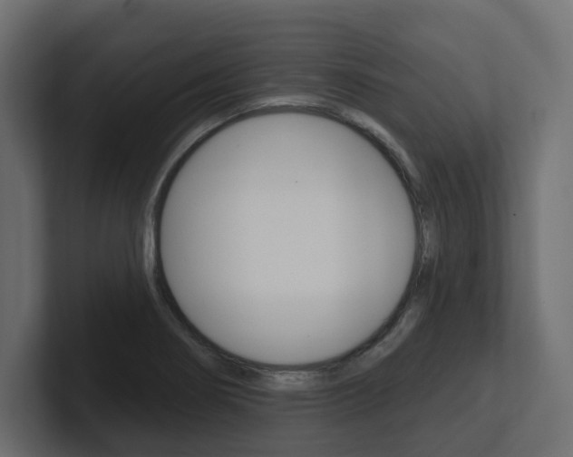 X0000101231274200806270938