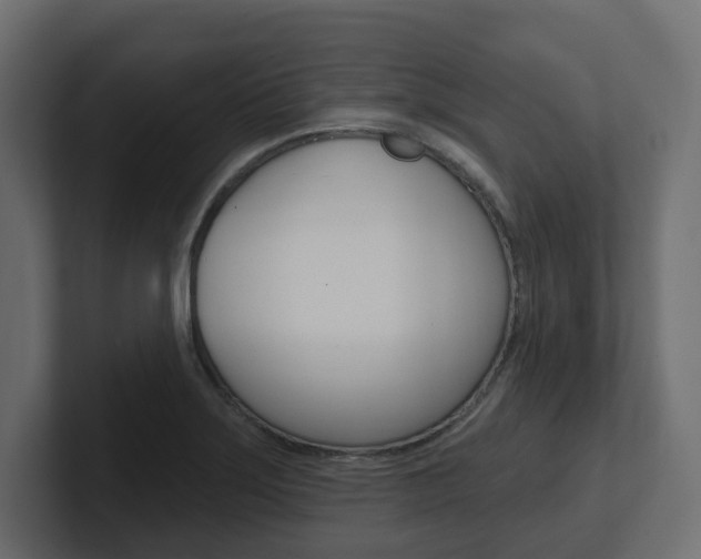 X0000101231275200806270938